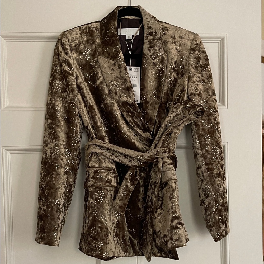 Velvet Sequin Blazer in Gold
